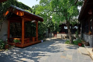 Backyard and Pagoda